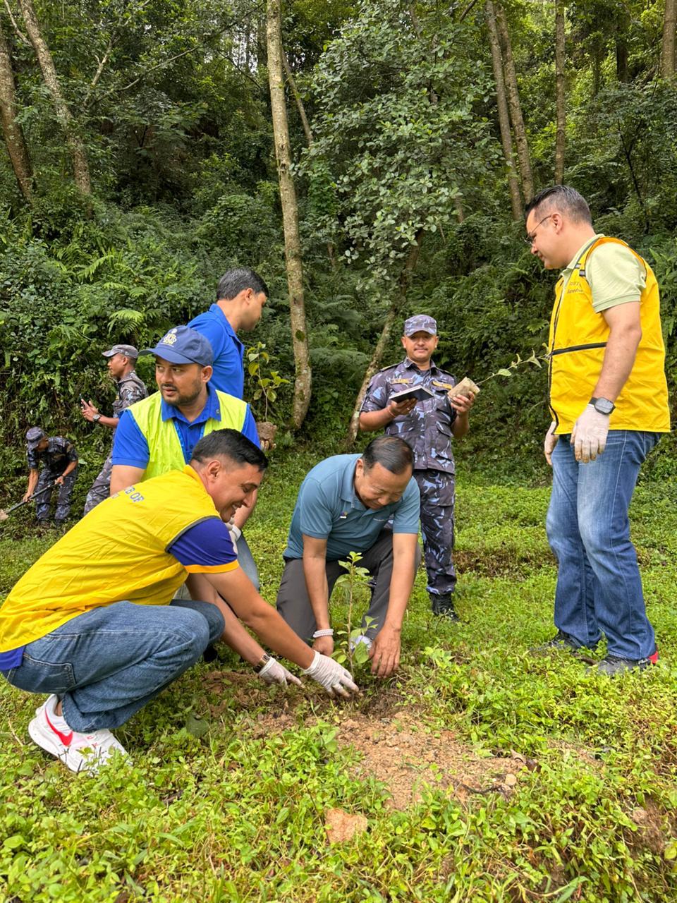 Plantation