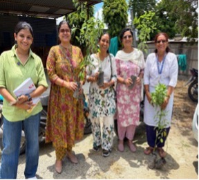 Tree Plantation Green Earth Happy Earth