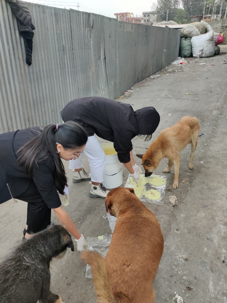Dog Feeding with Kathmandu Locals