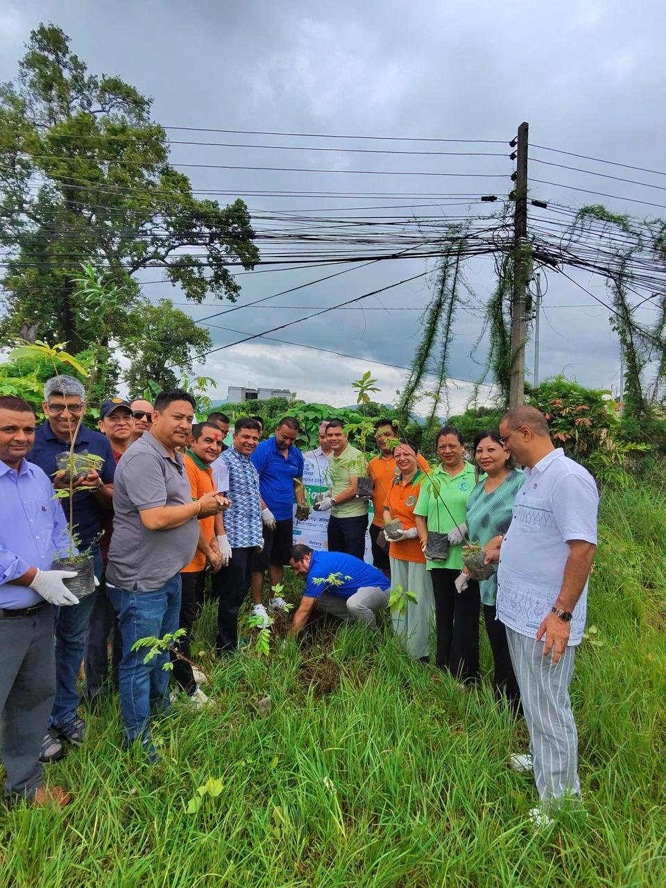 Rotary Tree plantation project