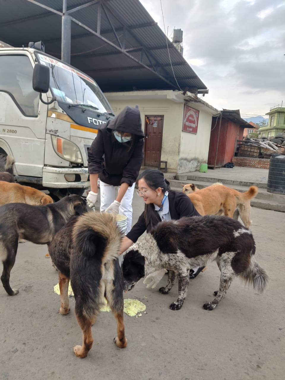 Dog Feeding with Kathmandu Locals