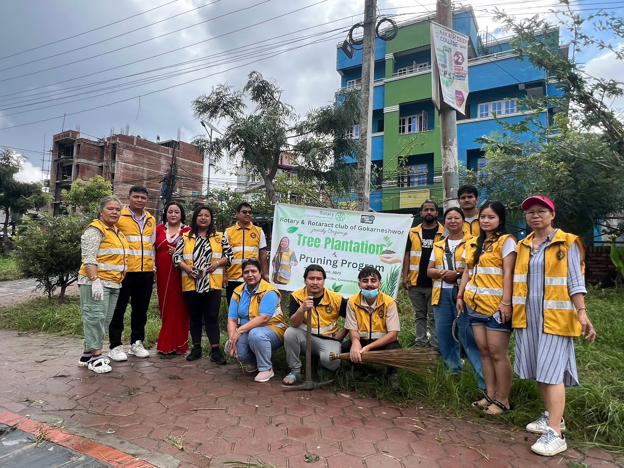Tree Plantation
