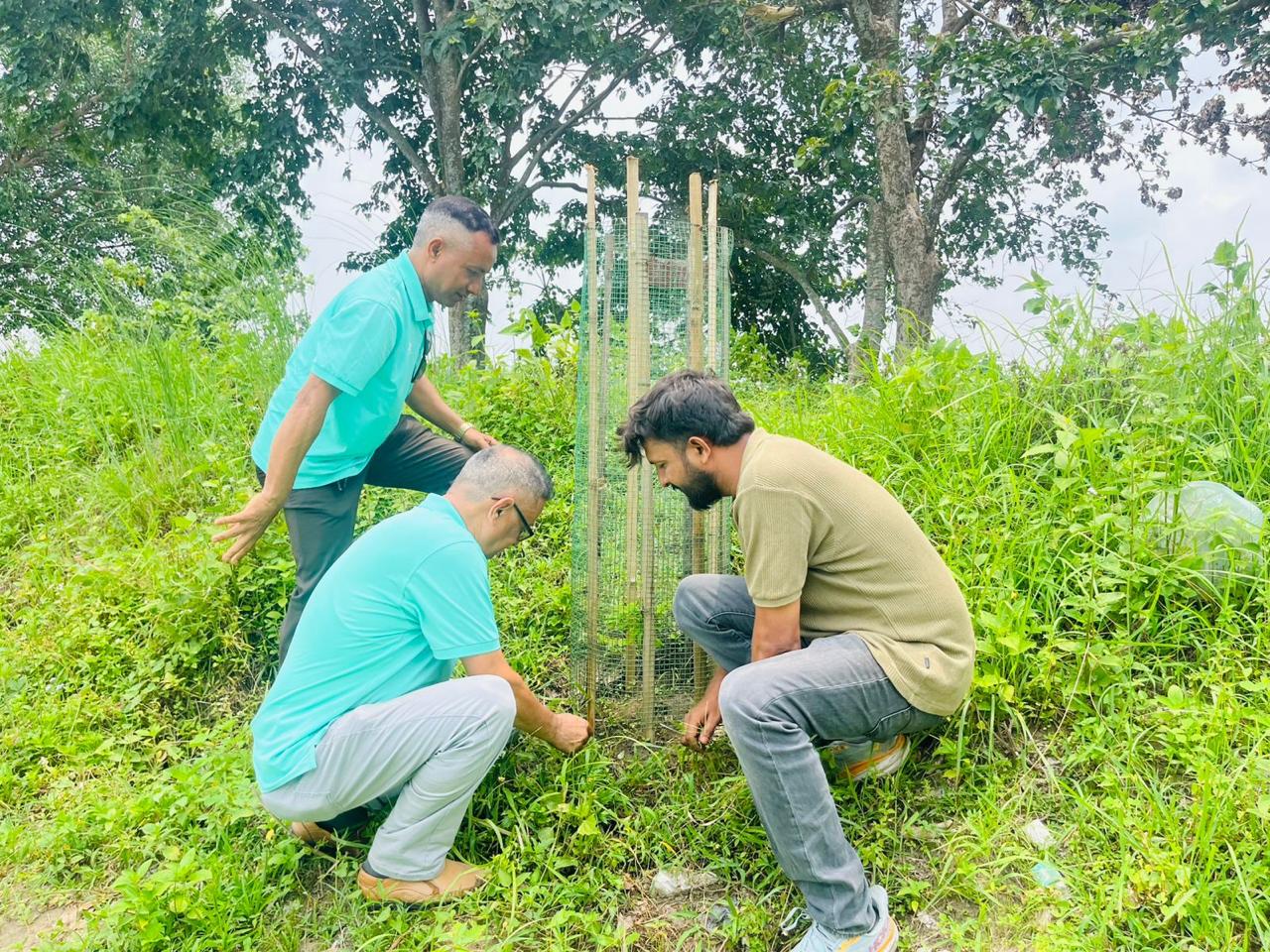 Rotary Tree Preservation
